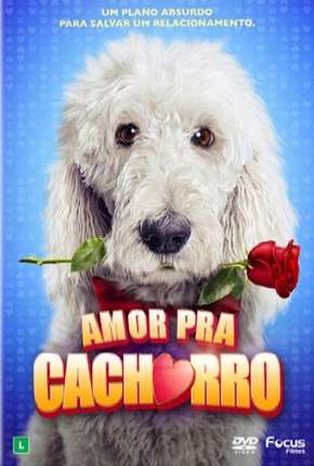 Amor Pra Cachorro Torrent Download