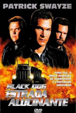 Black Dog - Estrada Alucinante Torrent Download