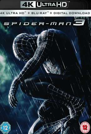 Homem-Aranha 3 4K Torrent Download