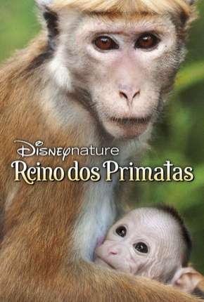 O Reino dos Primatas Torrent Download