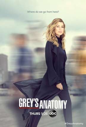 Anatomia de Grey - 4ª Temporada Torrent Download