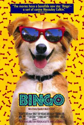 Bingo, Esperto pra Cachorro Download