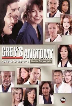 Greys Anatomy - 10ª Temporada - Completa Torrent Download