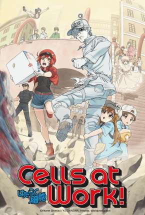 Hataraku Saibou - Cells at Work Torrent Download