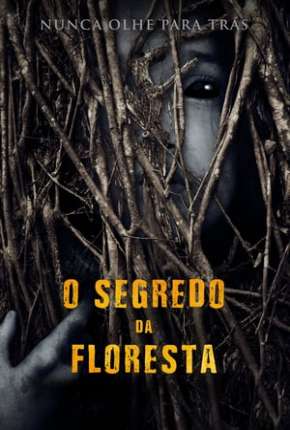 O Segredo da Floresta - Legendado Download