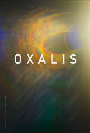 Oxalis - Legendado Download