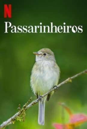 Passarinheiros - Birders Torrent Download