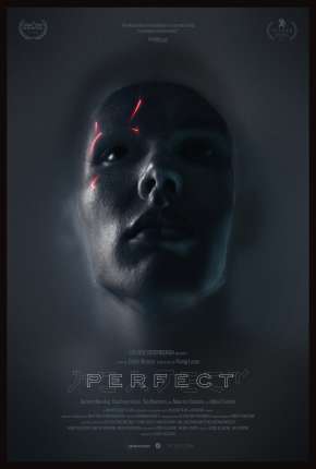 Perfect - Legendado Torrent Download