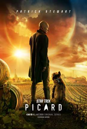 Star Trek - Picard - Legendada Download