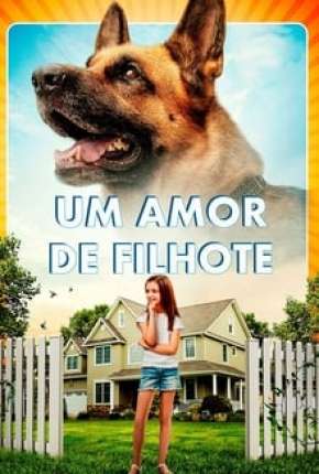 Um Amor de Filhote Torrent Download