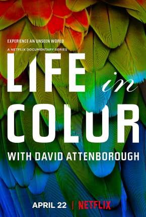 A Vida em Cores com David Attenborough - 1ª Temporada Completa Torrent Download