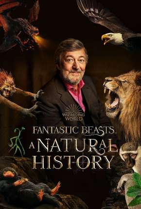 Animais Fantásticos - Uma História Natural Torrent Download