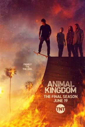 Animal Kingdom - 5ª Temporada Legendada Torrent Download