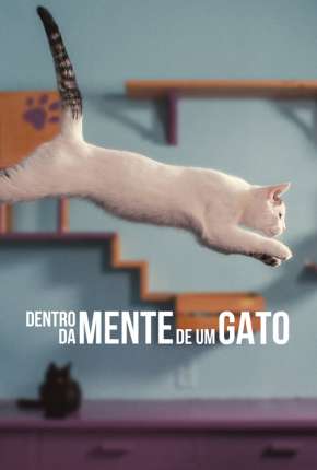 Dentro da Mente de um Gato - Legendado Torrent Download