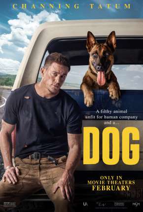 Dog - A Aventura de Uma Vida Torrent Download