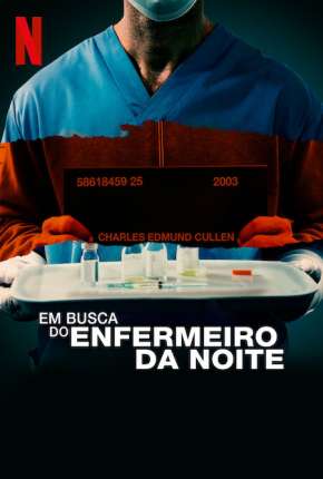 Em Busca do Enfermeiro da Noite Torrent Download