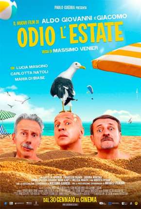 Loucuras de Verão - Odio lestate Torrent Download