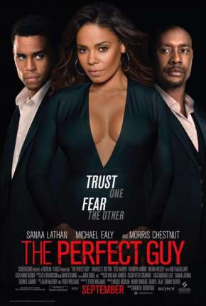 O Cara Perfeito - The Perfect Guy Torrent Download