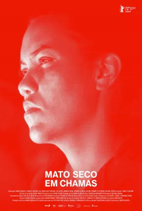 Mato Seco em Chamas Torrent Download