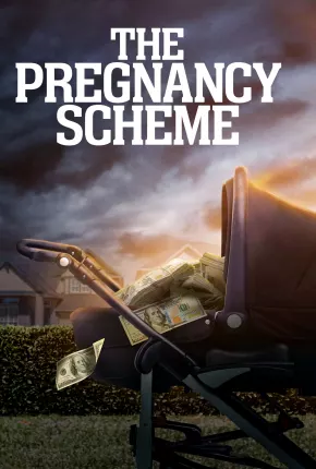 The Pregnancy Scheme - Legendado Download