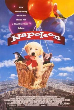 Napoleon, as Aventuras de um Cãozinho Valente Download