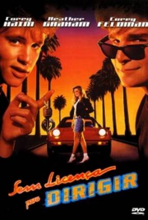 Sem Licença para Dirigir / License to Drive  Download