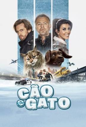 Cão e Gato Download