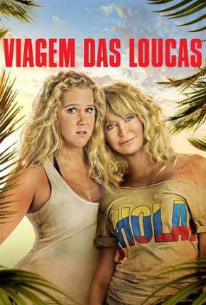 Viagem das Loucas / Snatched  Download