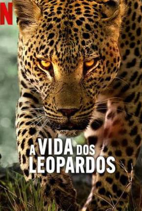 A Vida dos Leopardos Torrent Download
