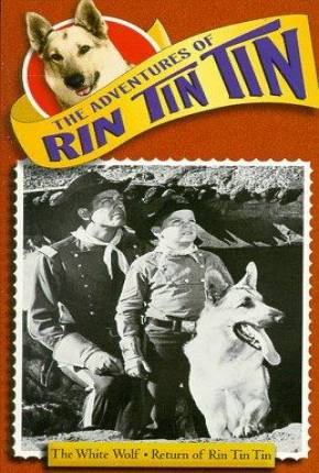 As Aventuras de Rin Tin Tin - 1ª Temporada  Download