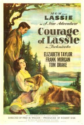 A Coragem de Lassie / Courage of Lassie Download